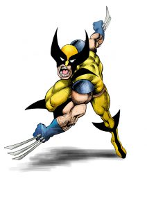 wolverine_colors2